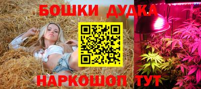 сатива Изобильный