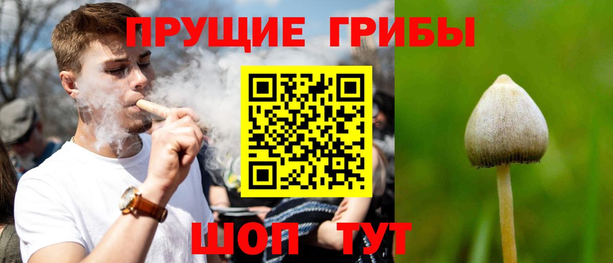 Кыштым  наркошоп  Галлюциногенные грибы Psilocybine cubensis  Вход с VPN  Галлюциногенные грибы Psilocybine cubensis 